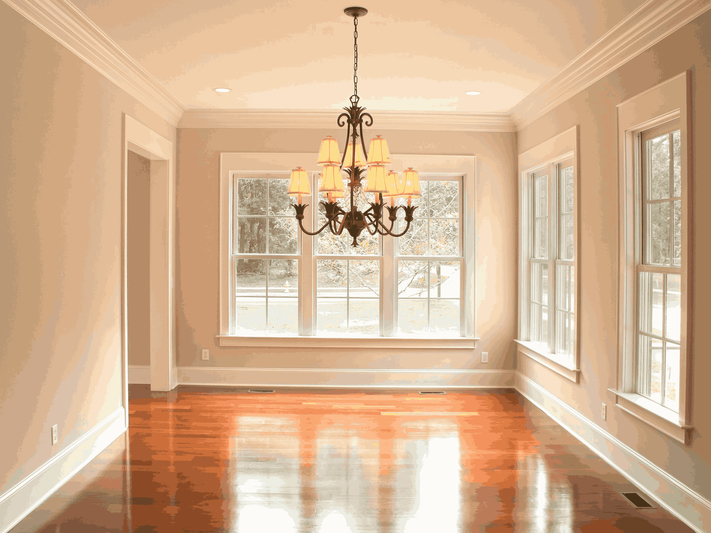 Silver Star painting photos